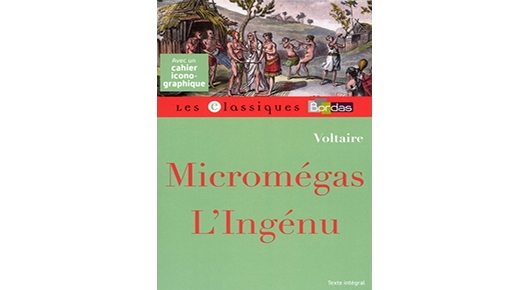 Micromegas Voltaire Nombre De Pages